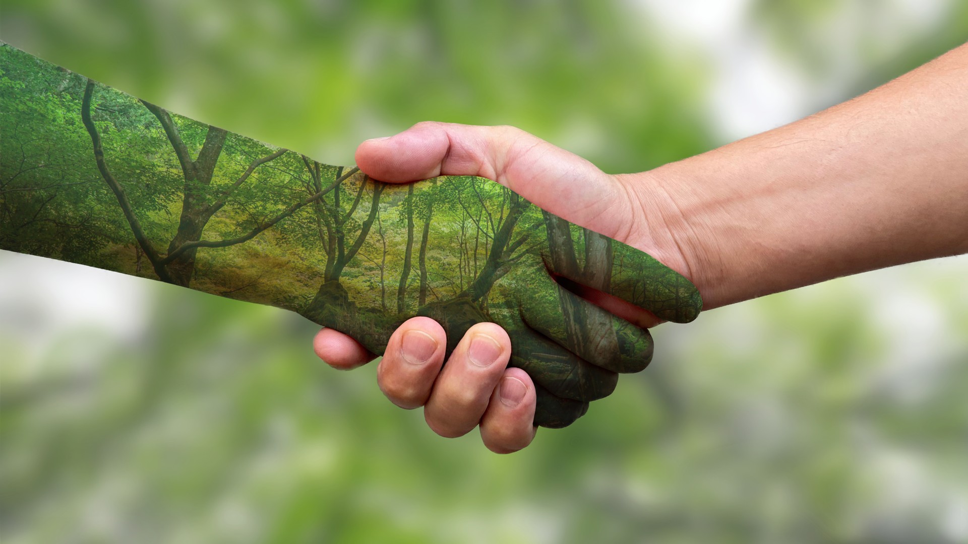 Environment concept. Handshake between human and mother nature